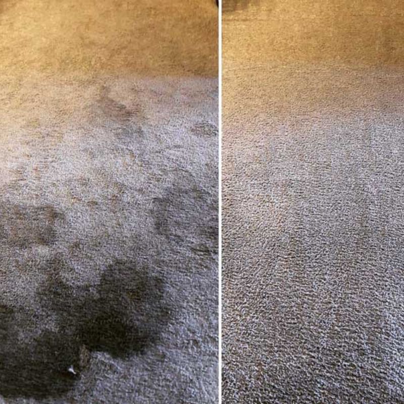 Pet Odor Stain Removal Results 2