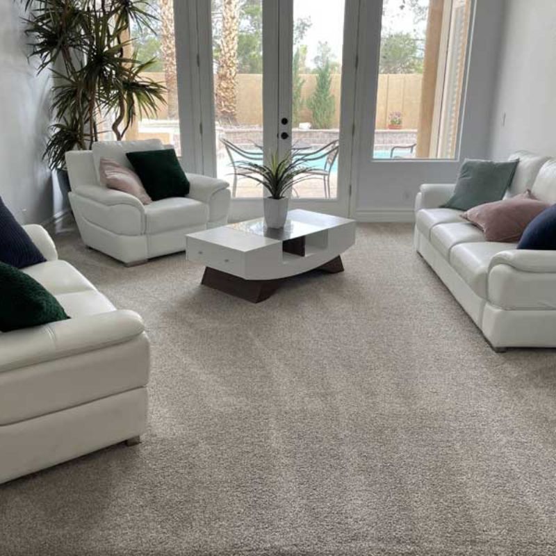 Carpet Cleaning Results