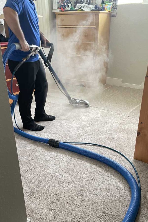 Pet Odor Stain Removal in Summerlin NV