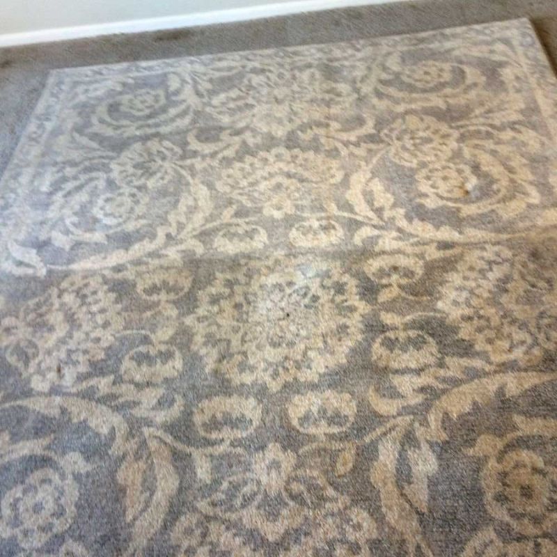 Area Rug Cleaning Results 3