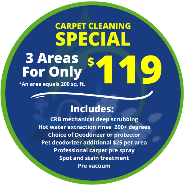 Carpet Cleaning Special  2